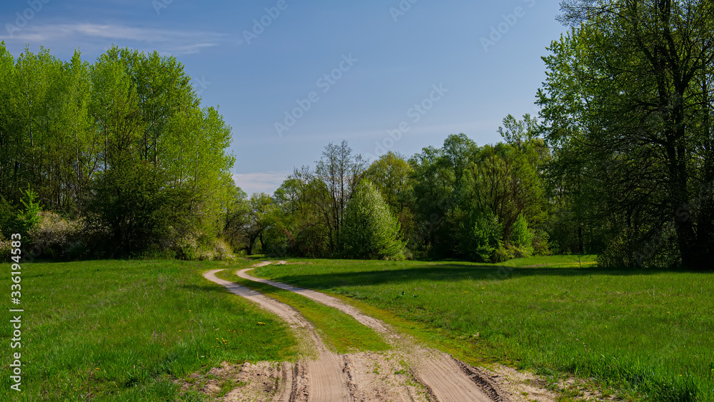 Dirt road in the meadow on a background of deciduous forest.