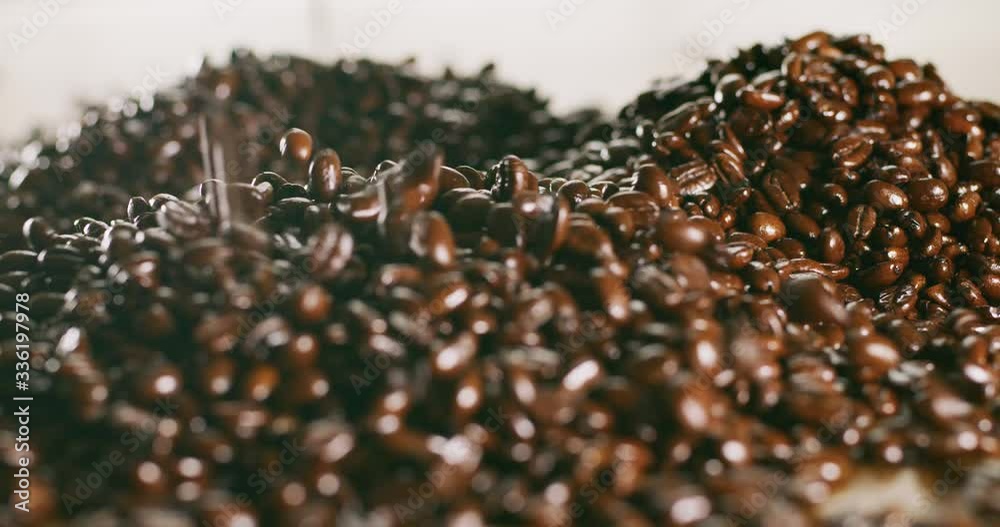 Close Up Shot of coffee beans piled up and pouring onto each other spilling and bouncing off of each other in slow motion. Close Up Shot of coffee beans piled up and pouring onto each other spilling and bouncing off of each other in slow motion.