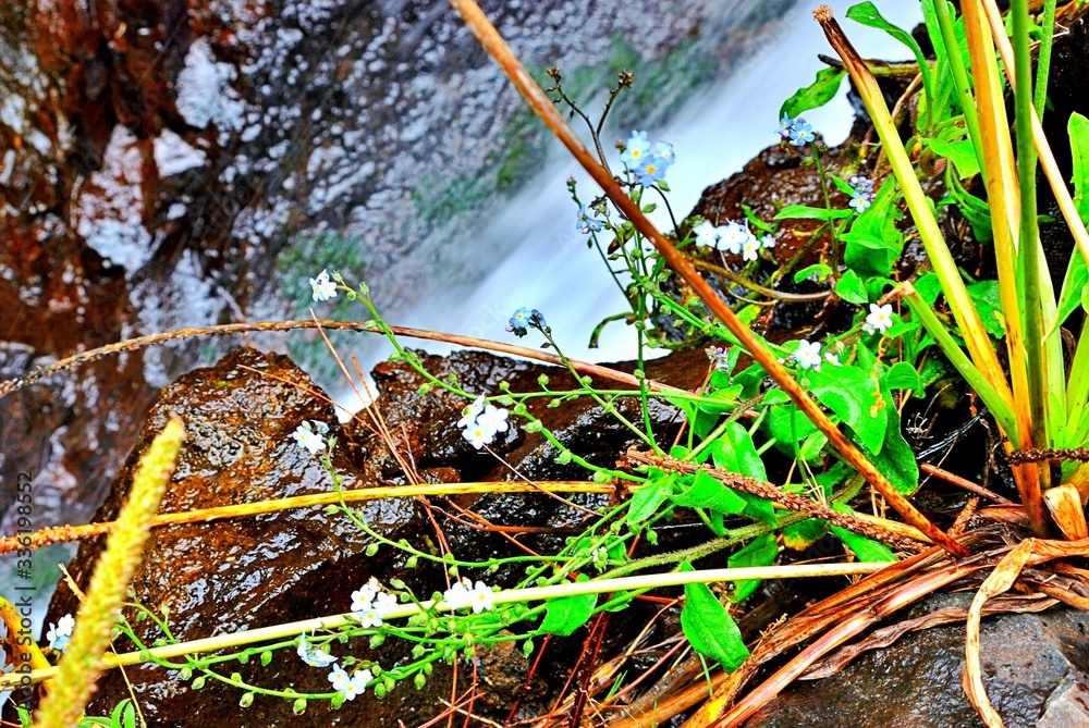 Born of Marcos y Cordero, it is one of the most important springs of the Canary Islands and is located about 1,350 meters high. It is a landscape formed by a path that starts from the Casa del Monte.