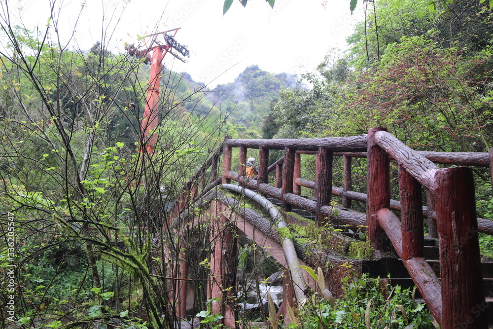 Fototapeta premium wooden bridge across a waterfall river in a mountain forest in Sichuan, China