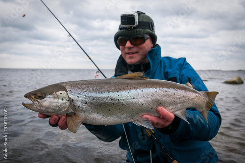Spring sea trout from the Swedish coast