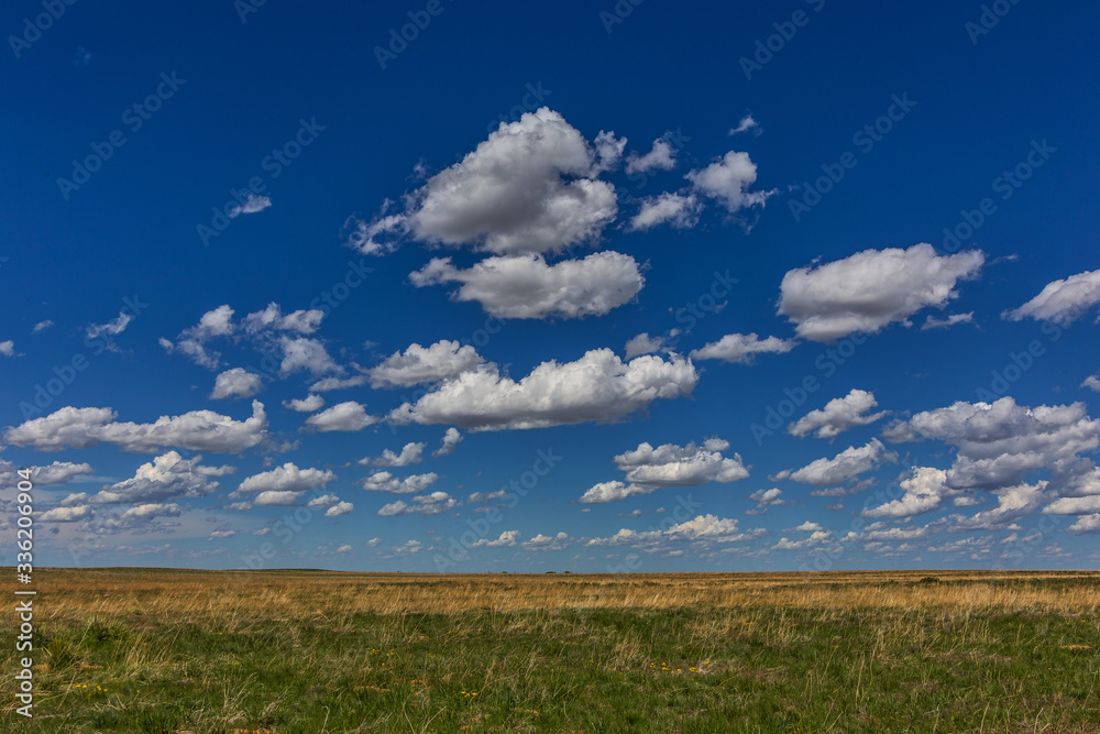Prairie with nice cloudy blue sky