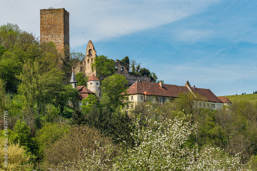 Fototapeta premium Nice small castle in Germany with blooming trees in the foreground