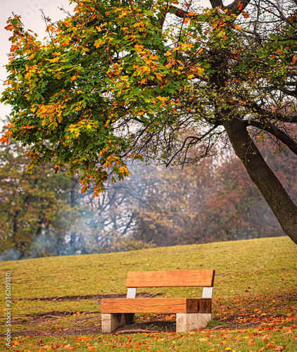 Bench with trees in autumn