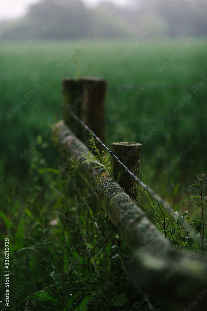 Fence post and barbed wire in a lush field Fence post and barbed wire in a lush field