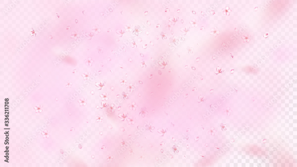 Nice Sakura Blossom Isolated Vector. Summer Flying 3d Petals Wedding Border. Japanese Blooming Flowers Illustration. Valentine, Mother's Day Beautiful Nice Sakura Blossom Isolated on Rose