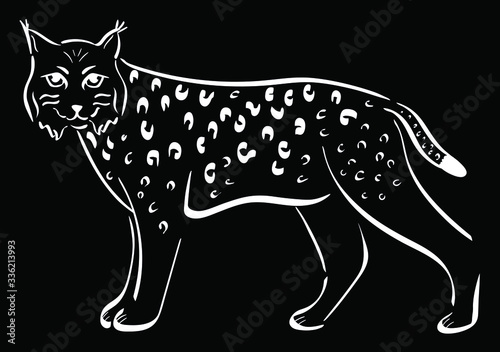 Lynx, animal chalk vector isolated on black background. Concept for logo, icon, print