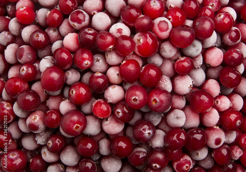 Fresh frozen red juicy cranberries close-up