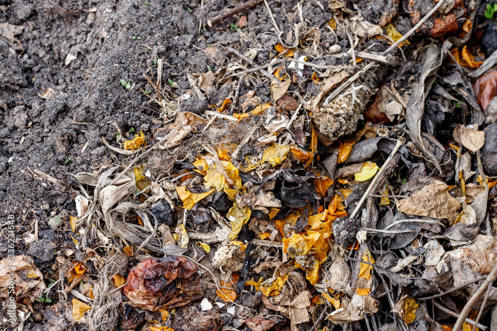 Fresh compost pile, with garden material. Recycled Food. Fertilizer. Fresh compost pile, with garden material. Recycled Food. Fertilizer.