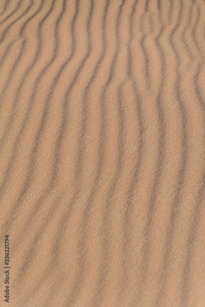 Waves of traces of wind on sand in desert. Waves of traces of wind on sand in desert.
