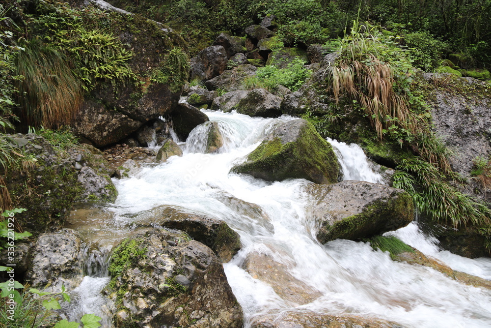 Beautiful landscape of cascade falls over mossy rocks, stones cover with moss, in a Mountain in Sichuan, China