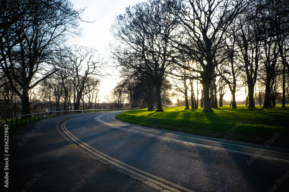 Fototapeta premium Sunset between trees, Phoenix park, Dublin - Ireland