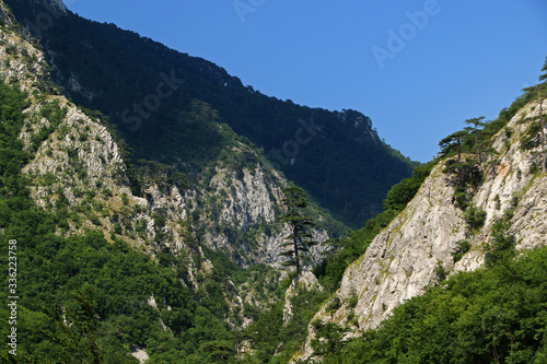 Sutjeska National Park, national park located in Bosnia and Herzegovina