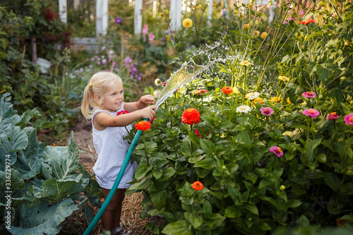 girl child in the garden watering plants, a small gardener, summer in the village