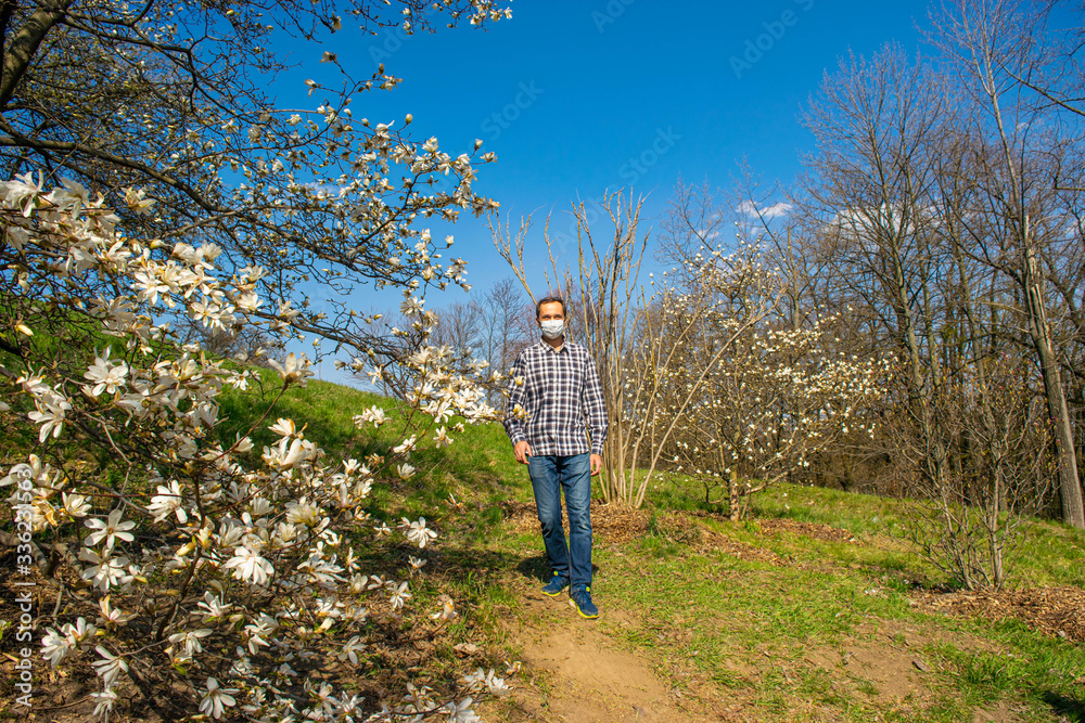 The man in the protective mask in a park near the flowering magnolia tree wants to smell flowers on a sunny spring day.