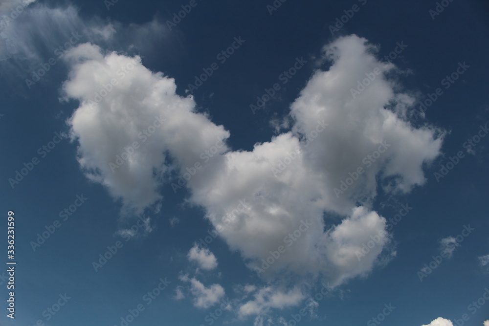 Fototapeta premium blue sky with clouds