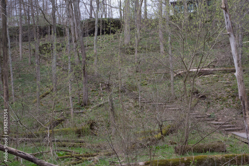 Foto Glen Helen Preserve in Early Spring, Yellow Springs, Ohio