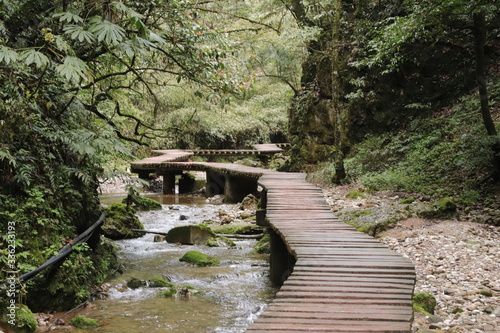  wooden bridge pathway a river in a mountain forest in Sichuan  China