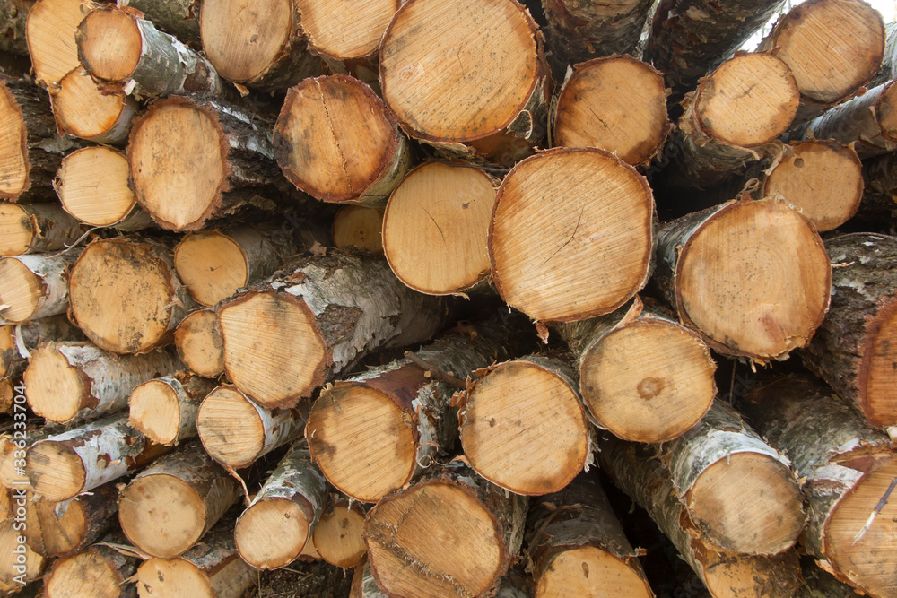 birch wood blocks, stacked