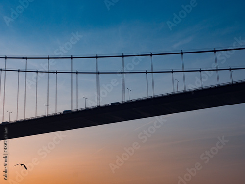 Silhouette of a large transport bridge at sunset photo