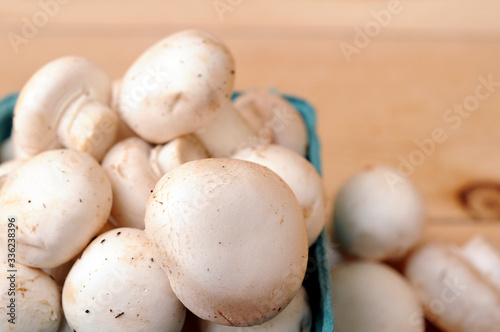 fresh Champignon mushrooms