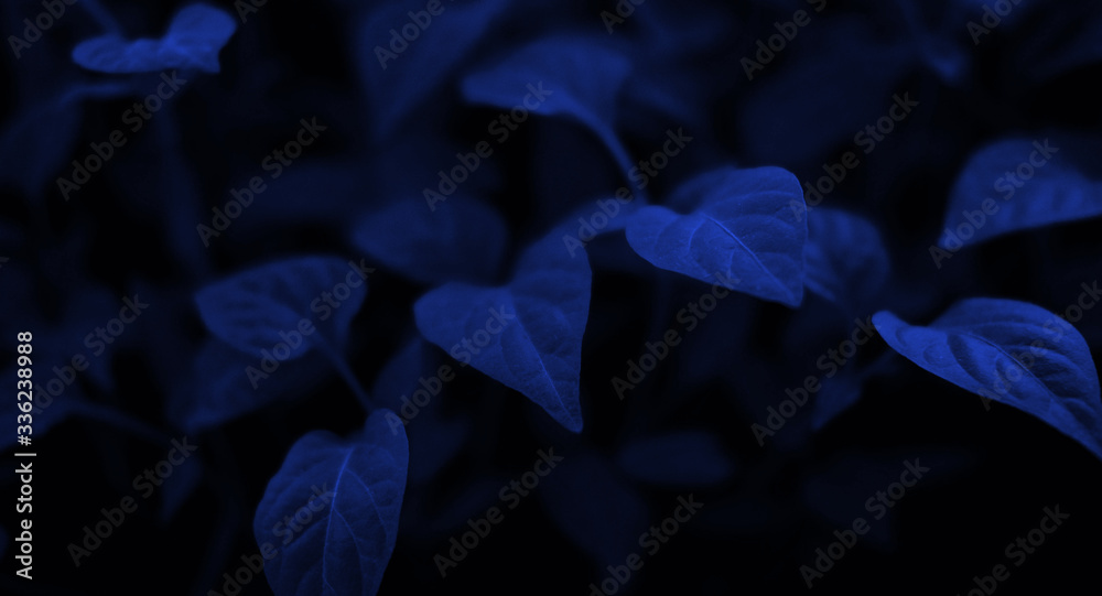 Floral background in trendy blue. Dark blue trendy background for banner and design. Blue neon leaf color