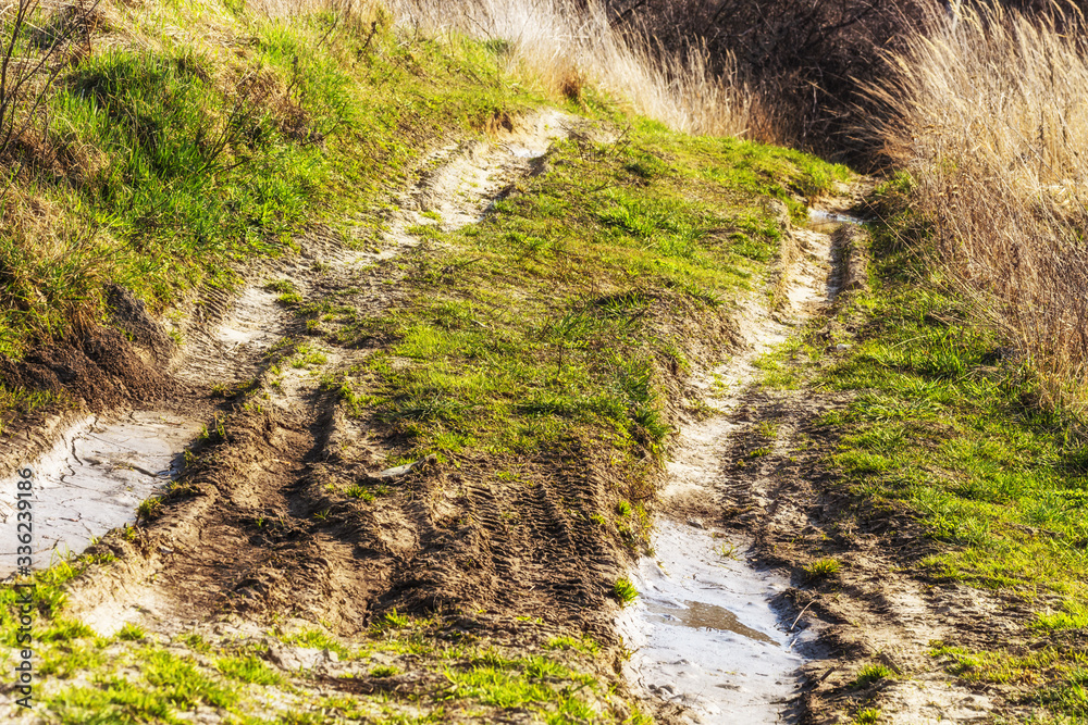 Fototapeta premium Off-road. Polesie. Country Ukraine. Impassable forest road of mud and clay, offroad