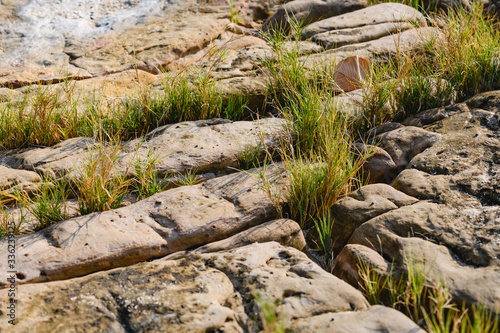 Foto Stones and rocks with grass growing between