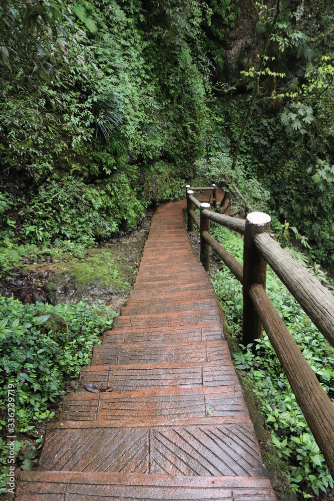 Fototapeta premium wooden pathway near a river in a mountain forest in Sichuan, China