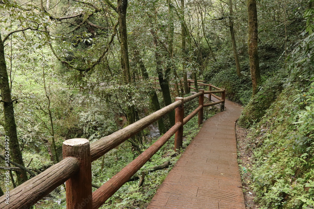 wooden pathway near a river in a mountain forest in Sichuan, China