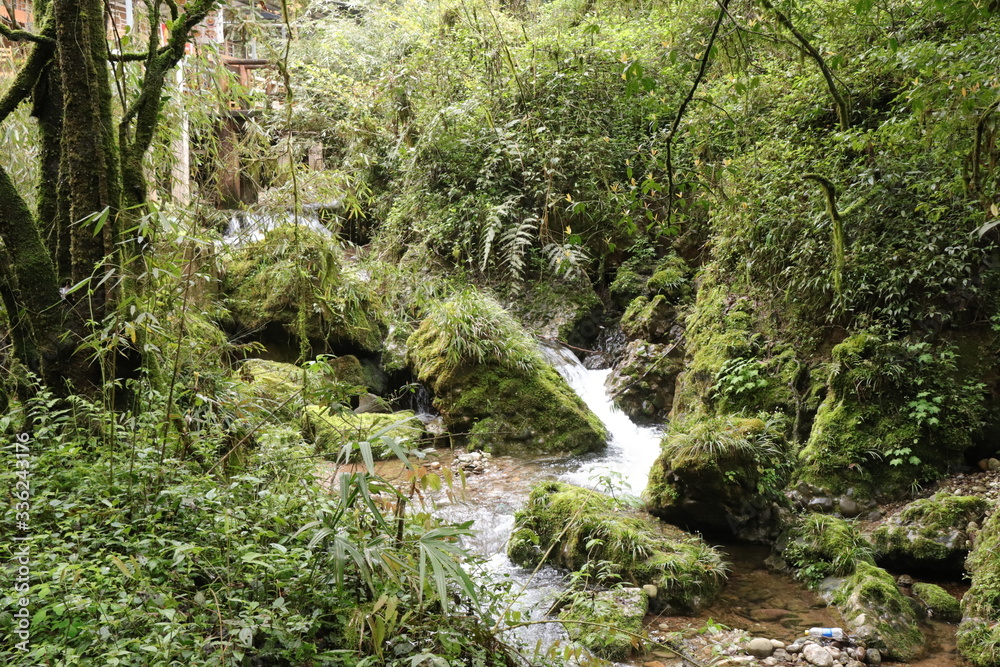 Beautiful landscape of cascade falls over mossy rocks, stones cover with moss, in a Mountain in Sichuan, China Beautiful landscape of cascade falls over mossy rocks, stones cover with moss, in a Mountain in Sichuan, China