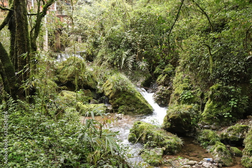 Beautiful landscape of cascade falls over mossy rocks, stones cover with moss, in a Mountain in Sichuan, China