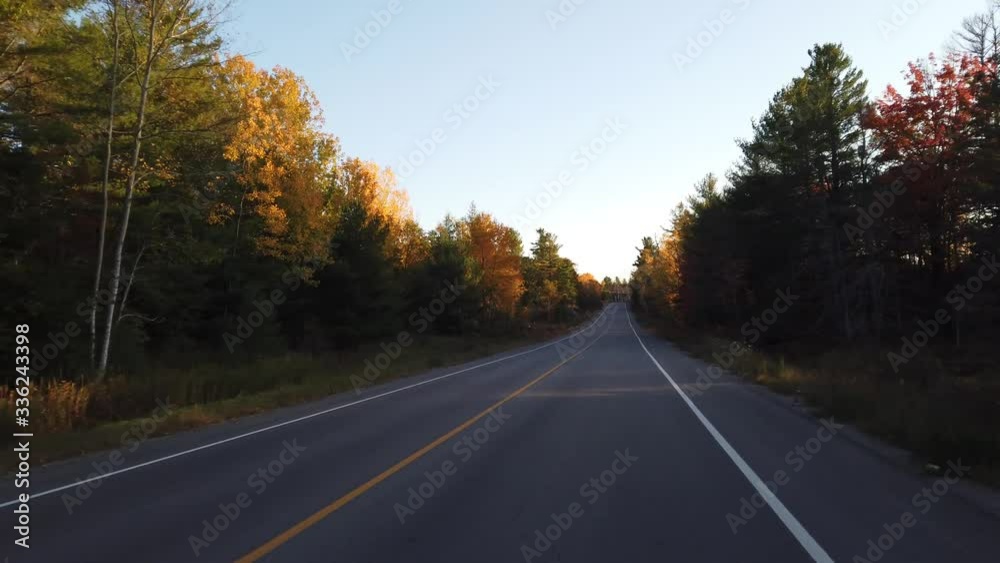 Fall driveway with colour forest along the way Fall driveway with colour forest along the way