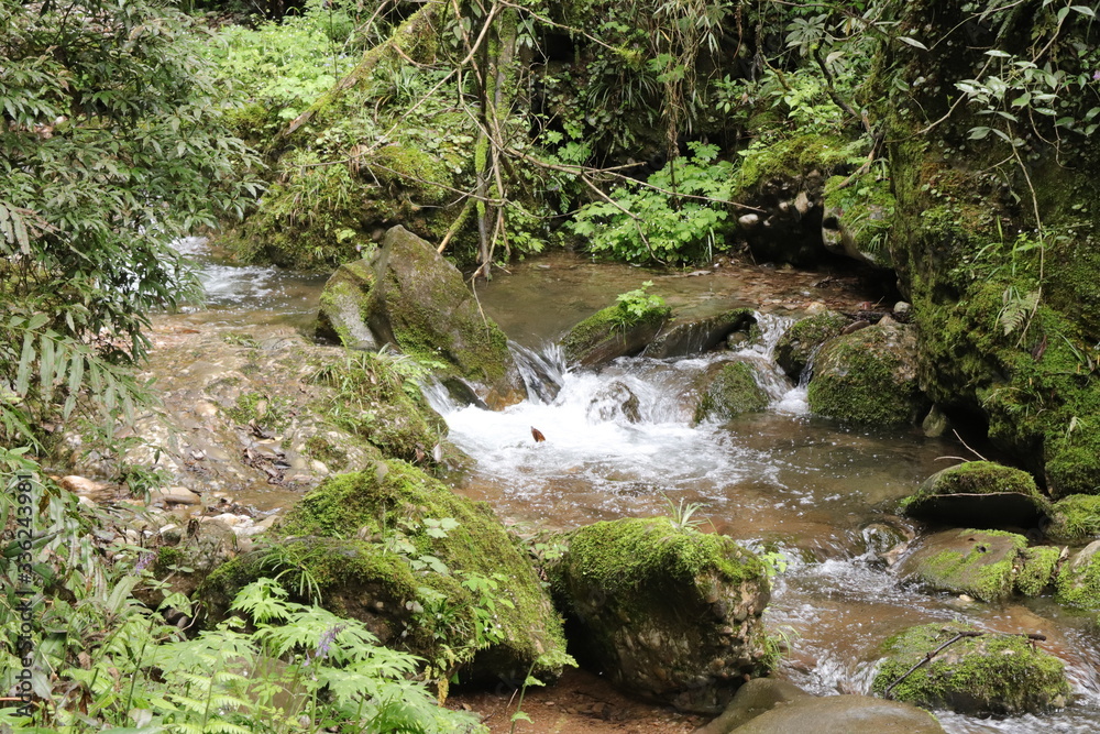 Beautiful landscape of cascade falls over mossy rocks, stones cover with moss, in a Mountain in Sichuan, China Beautiful landscape of cascade falls over mossy rocks, stones cover with moss, in a Mountain in Sichuan, China