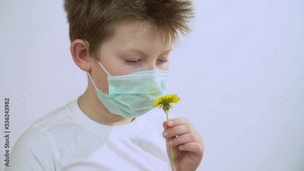 Handsome Caucasian kid in t-shirt corrects the protective medical mask on his face, holds a dandelion flower in his hand, looks, sniffs it, inhales the fragrance on white wall background close up. Handsome Caucasian kid in t-shirt corrects the protective medical mask on his face, holds a dandelion flower in his hand, looks, sniffs it, inhales the fragrance on white wall background close up.