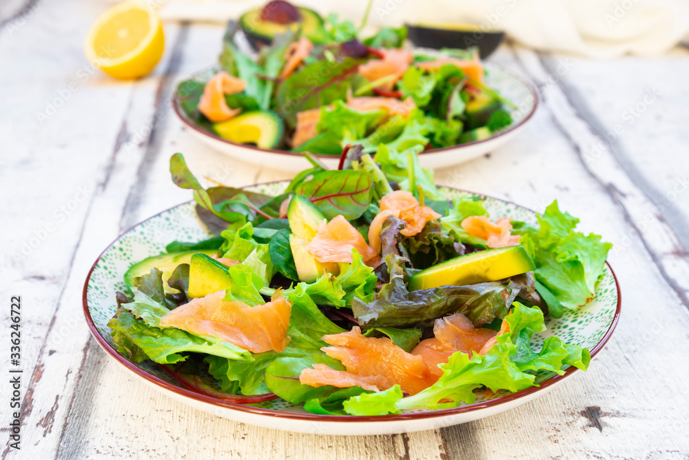 Two plates of ready-to-eat green salad with arugula,?Lollo?Rosso?lettuce, baby spinach, beetroot leaves, avocado, corn salad and salmon Two plates of ready-to-eat green salad with arugula,?Lollo?Rosso?lettuce, baby spinach, beetroot leaves, avocado, corn salad and salmon