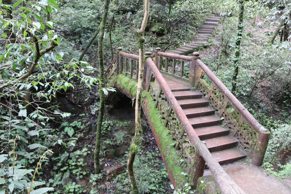 Fototapeta premium wooden bridge across a river in a mountain forest in Sichuan, China