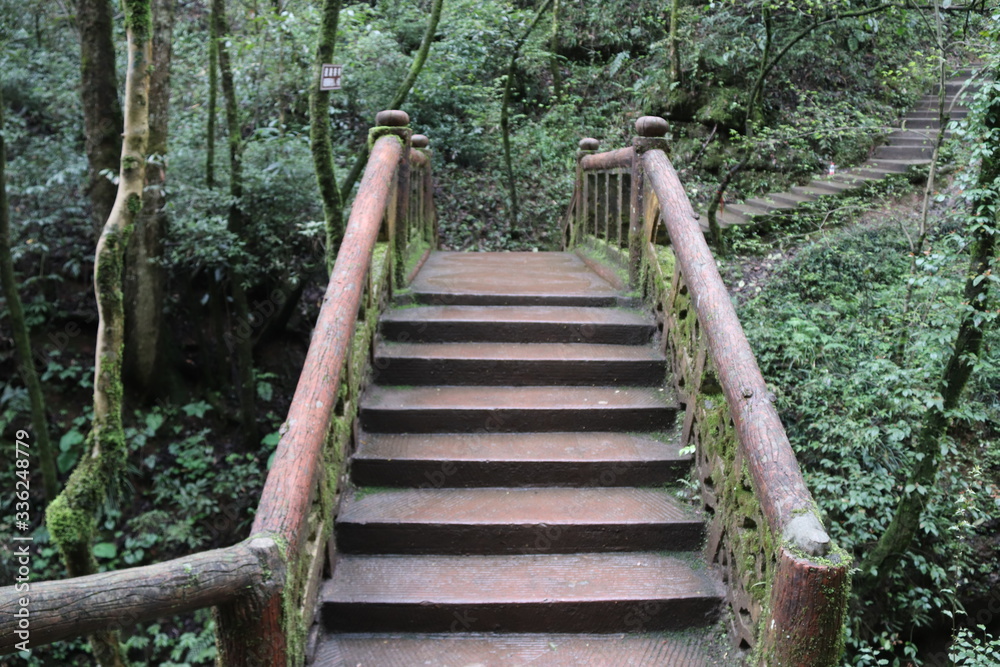 wooden bridge across a river in a mountain forest in Sichuan, China wooden bridge across a river in a mountain forest in Sichuan, China