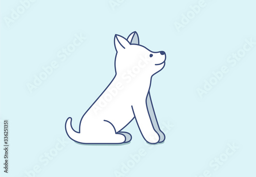 Cute little puppy of Siberian Husky sitting, waiting and looking up. Interested nice small dog.
