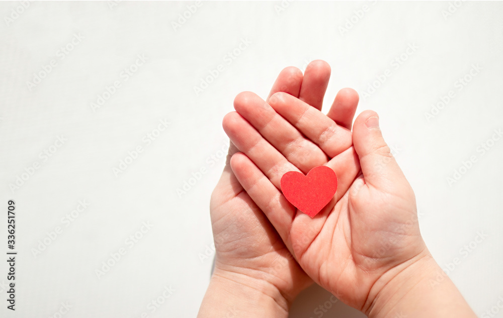 Red heart is cut out of paper in the hands of a child on a white background Red heart is cut out of paper in the hands of a child on a white background