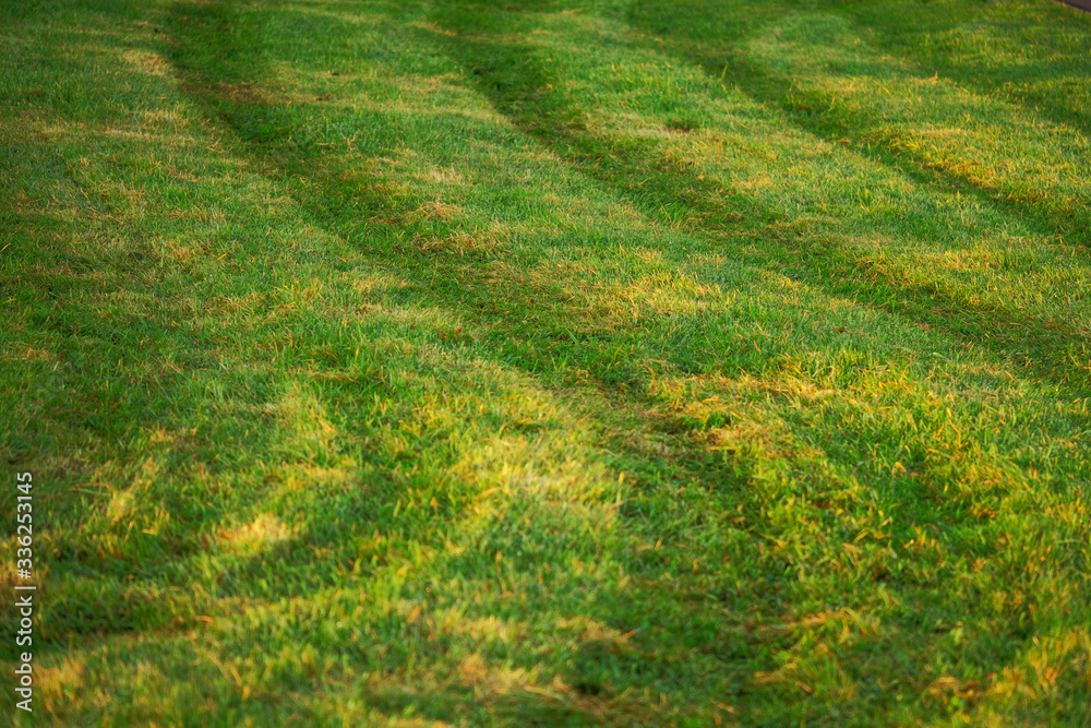 S shaped track on a freshly cut grass in a field S shaped track on a freshly cut grass in a field