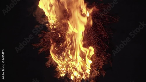 pine branch on fire slowly burns