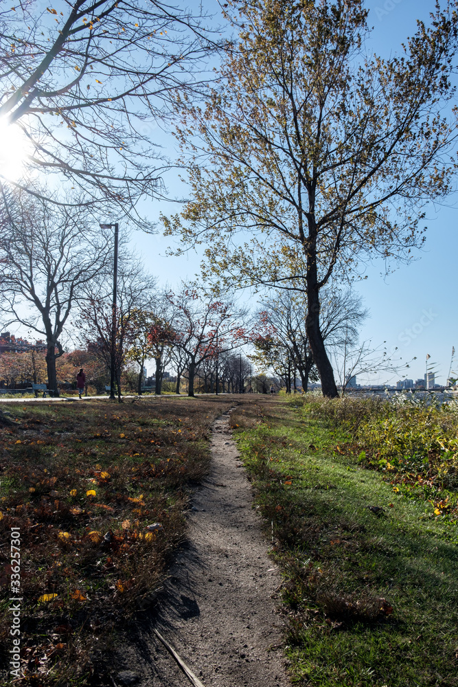 autumn in the park