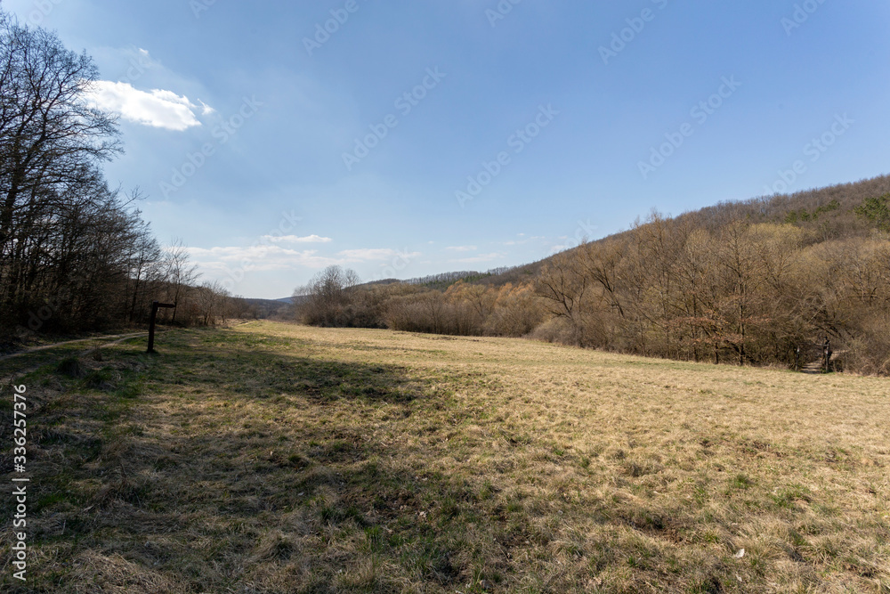 Gyadai meadow near the village of Szendehely, Hungary.