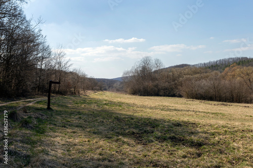 Gyadai meadow near the village of Szendehely, Hungary. © skovalsky
