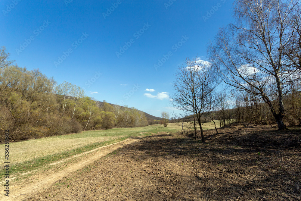 Gyadai meadow near the village of Szendehely, Hungary. Gyadai meadow near the village of Szendehely, Hungary.