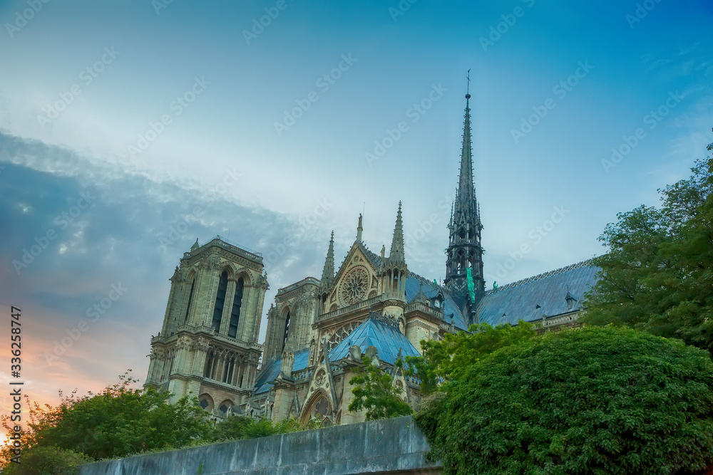 Cathedral of Notre Dame de Paris