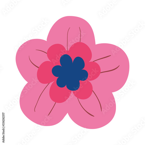 flower design, natural floral nature plant ornament garden decoration and botany theme Vector illustration