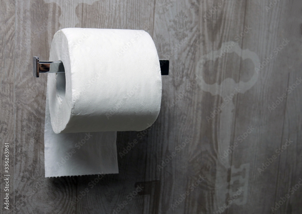 Fototapeta Roll of white toilet paper on metal paper holder in bathroom