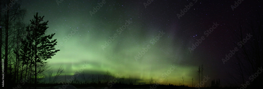 Panoramic view of northern lights over winter forest